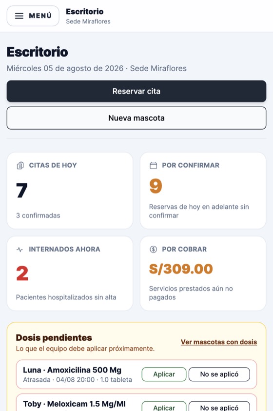 ChitaWasi en un teléfono: escritorio con el resumen del día