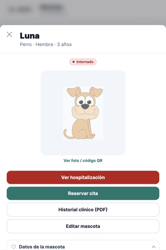 ChitaWasi en un teléfono: ficha de un paciente